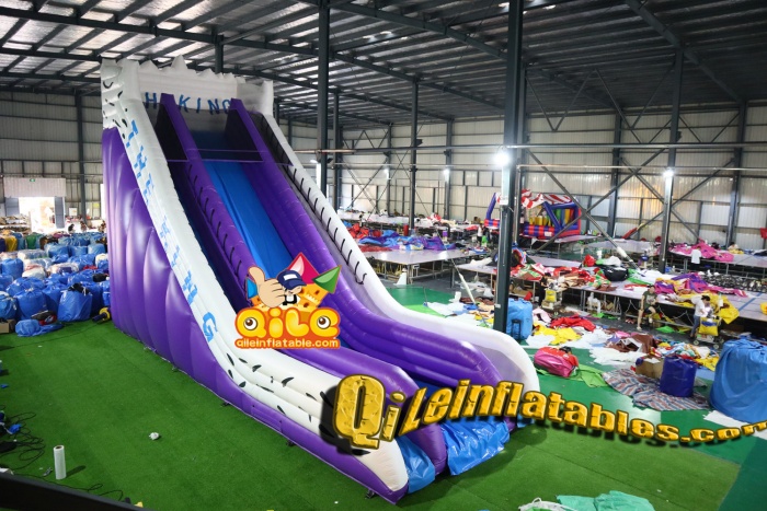 QILE202408702