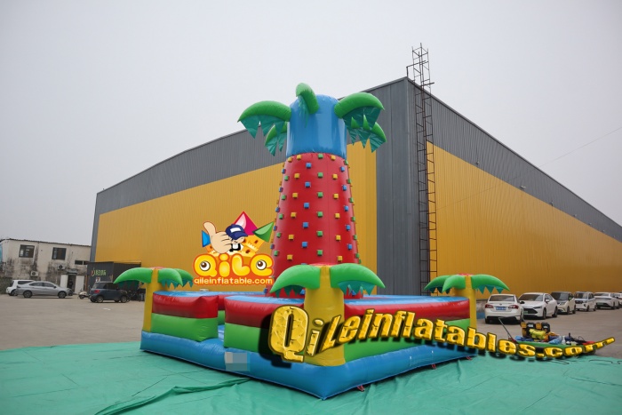 QILE202416309